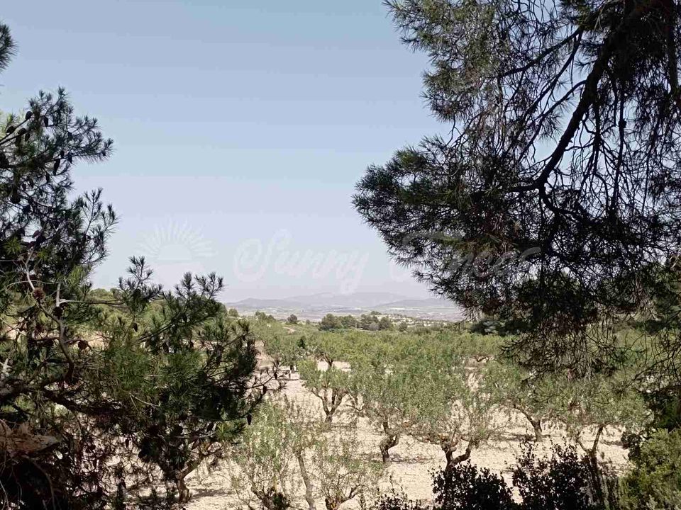 Helårsgrund i Jumilla, Murcia - foto 2